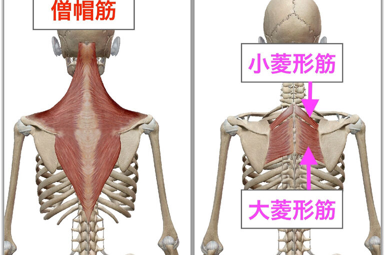 4B154D0E-E421-4F7D-857B-DFDBAEA3F7A1