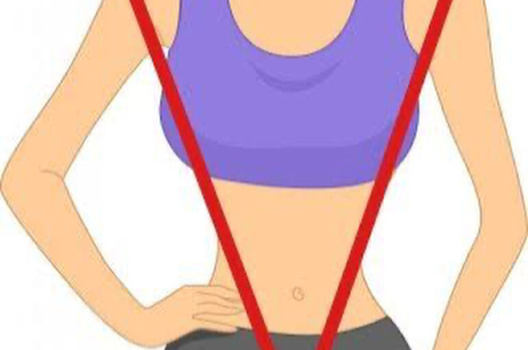 女性にも肩と背中の筋肉が必要な理由 大田区蒲田からのご利用者様も多いパーソナルトレーニングジムです