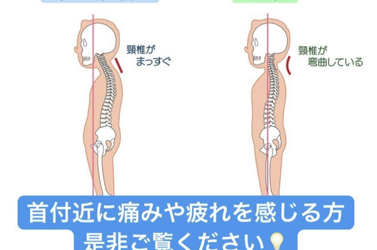 3772C1B8-6C95-4FA1-94D6-4A9ED62AA8D8